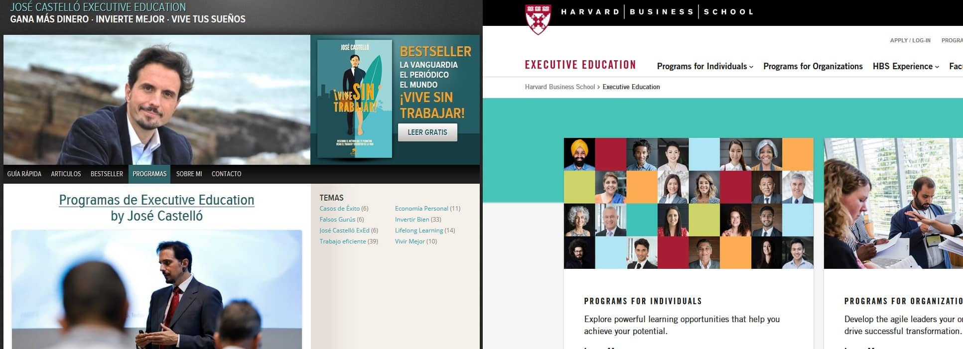 jose castello harvard business school executive education