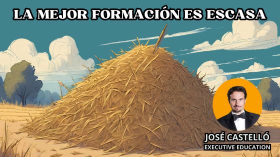 Las-mejores-opciones-de-formacion-son-pocas-by-Jose-Castello